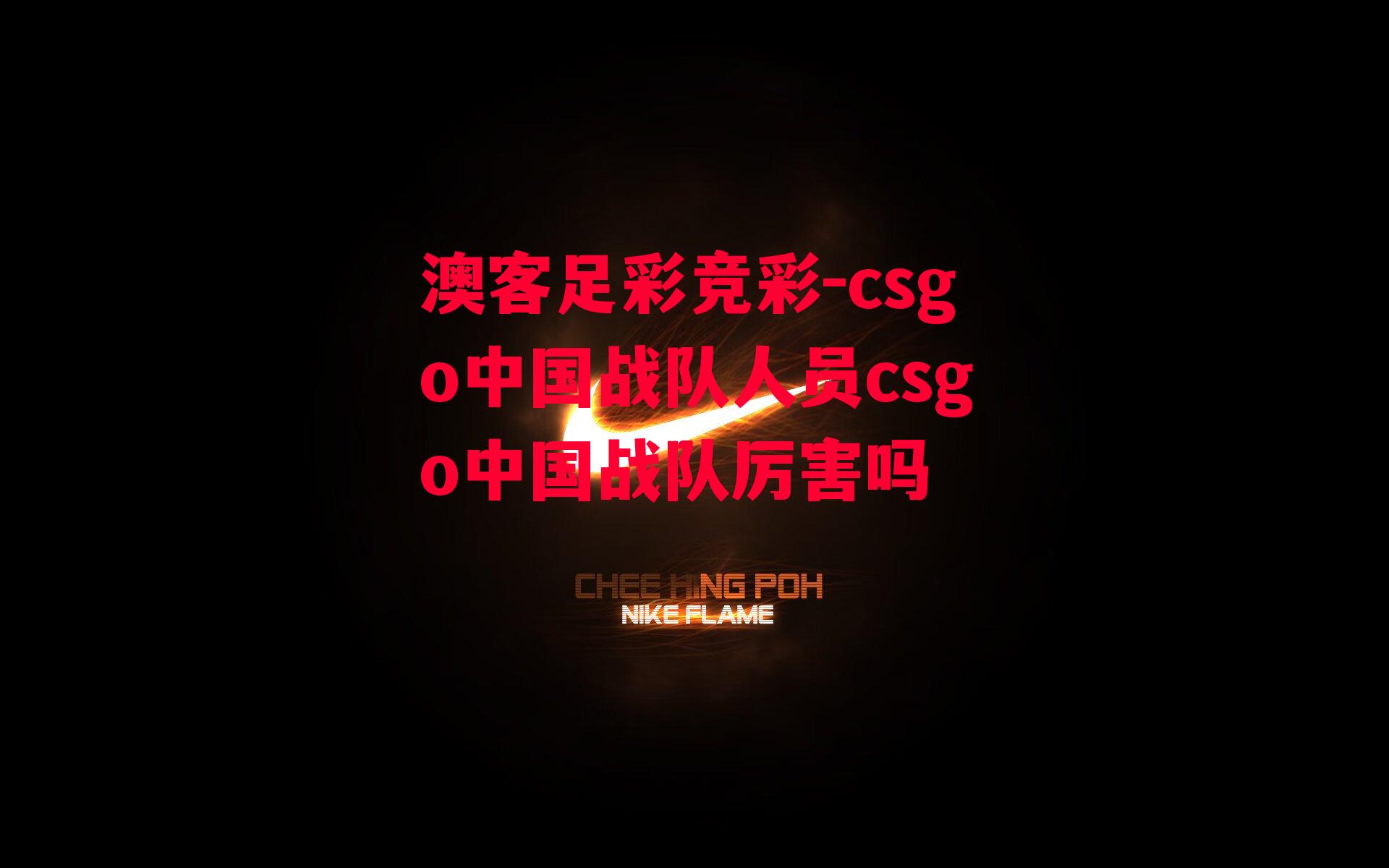 csgo中国战队人员csgo中国战队厉害吗